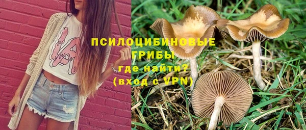 марки nbome Инта