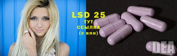 дживик Инсар