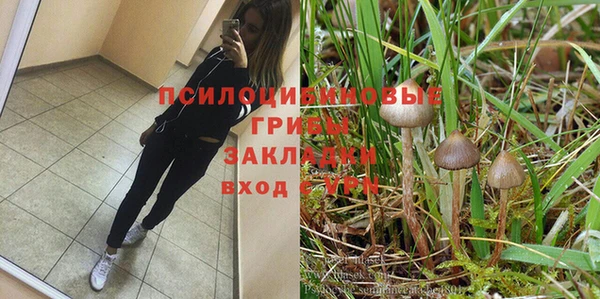 гидропоника Иннополис