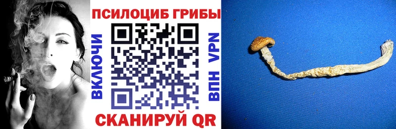 Псилоцибиновые грибы GOLDEN TEACHER  Купить закладки  Белово 